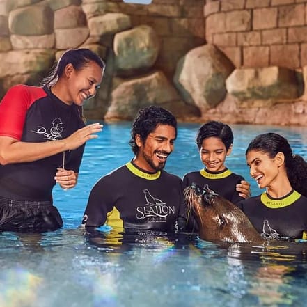 Sea Lion Experiences at Atlantis The Palm – Water Parks JUGH.com Special Offers, Deals & Discounts in Japan