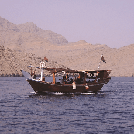 Muscat Dolphin Cruise With Shared Transfers – Recently Added Experiences JUGH.com Special Offers, Deals & Discounts in Japan