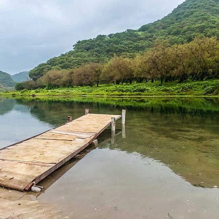 Salalah: Full-Day Beach Escapade Hidden Beach & Rakyut Beach – Recently Added Experiences JUGH.com Special Offers, Deals & Discounts in Japan