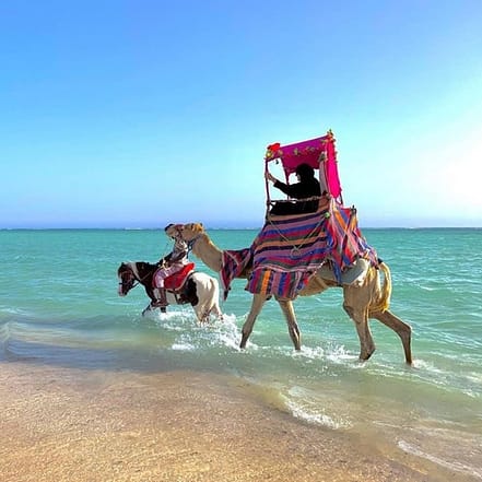 Full Day Obhur & Beach Tour With Transfers – Recently Added Experiences JUGH.com Special Offers, Deals & Discounts in Japan