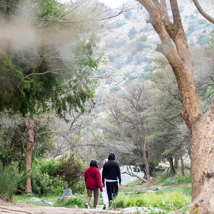 In Hike to the Ain Jamal Waterfall – Recently Added Experiences JUGH.com Special Offers, Deals & Discounts in Japan