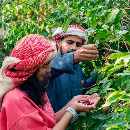 Hike with a local coffee farmer – Recently Added Experiences JUGH.com Special Offers, Deals & Discounts in Japan